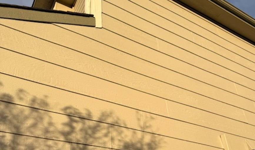 PAINTING SERVICES
